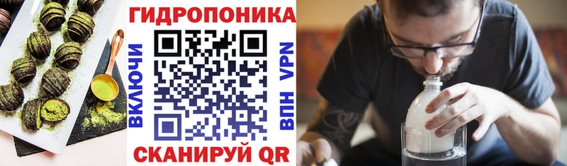 Купить закладки  Кубинка  Canna-Cookies конопля 