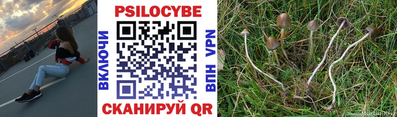 Купить  Кубинка  Галлюциногенные грибы Cubensis 